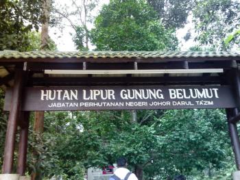 Hutan Rekreasi Gunung Belumut