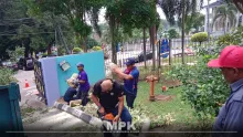 Gotong-Royong Penebangan Pokok & Cantasan Pokok Renek Di Pejabat Kadi Kluang